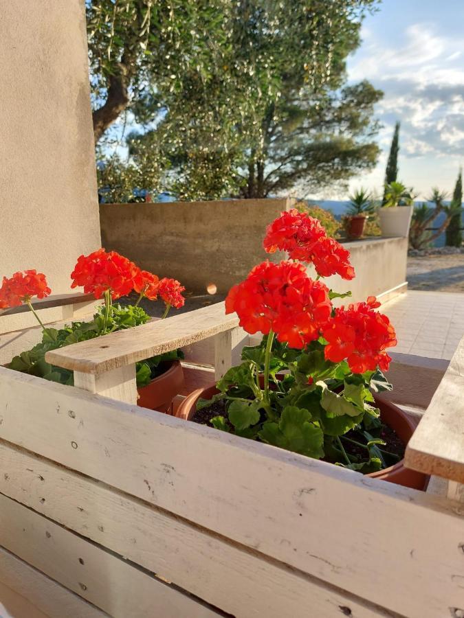 B&B Villa Maria Ester Vieste Bagian luar foto